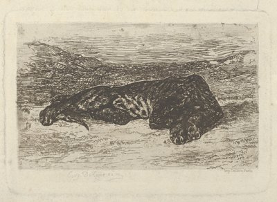 Tigris fekszik a sivatagban, 1846 ., 1846 . alkotó: Eugène Delacroix
