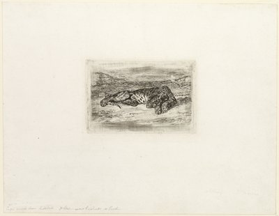 Tigris pihen a sivatagban alkotó: Eugène Delacroix