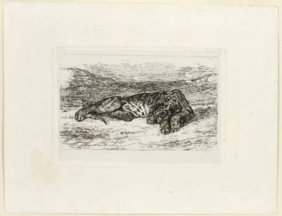 Tigris pihen a sivatagban alkotó: Eugène Delacroix