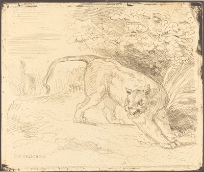 Tigris a Stopban, 1854. alkotó: Eugène Delacroix
