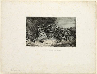 Fiatal Tigris játszik az anyjával alkotó: Eugène Delacroix