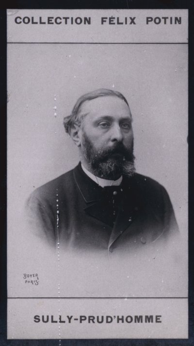 Armand Sully Prudhomme (1839) (f/w fotó) alkotó: European Photographer
