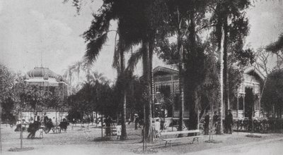 Brazília: San Paolo, Jardim da Luz (fekete-fehér fotó) alkotó: European Photographer