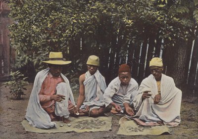 Hovas váltók alkotó: European Photographer
