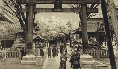 Japán, utca Tokióban, cseresznyevirágzás ideje (f/w fotó) alkotó: European Photographer