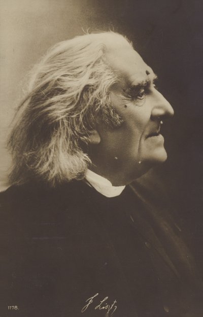 Portrait of Franz Liszt alkotó: European Photographer
