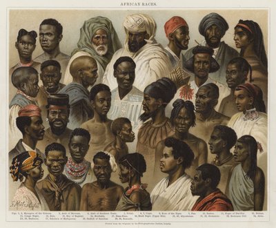 Afrikai fajok alkotó: European School