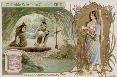 Fejezet alkotó: European School