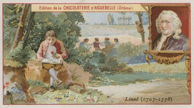 Carl Linnaeus svéd botanikus és zoológus alkotó: European School