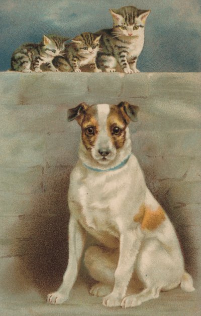 Macskák figyelnek egy kutyát (színes litográfia) alkotó: European School