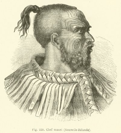 Maori főnök, Új-Zéland (metszet) alkotó: European School