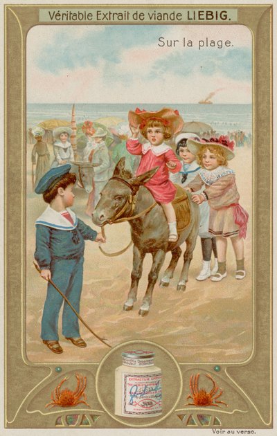 Gyerekek szamárlovaglással alkotó: European School