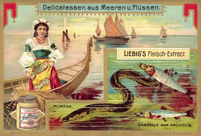 Angolna, szardínia és szardella (chromolitho) alkotó: European School