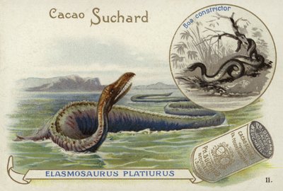 Elasmosaurus és boa constrictor alkotó: European School