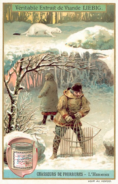Hermelin csapdák (chromolitho) alkotó: European School