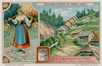 németül beszélő Gallio Asiago alkotó: European School