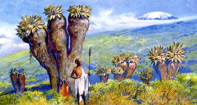 Óriás földikutya, Kilimandzsáró, Afrika alkotó: European School