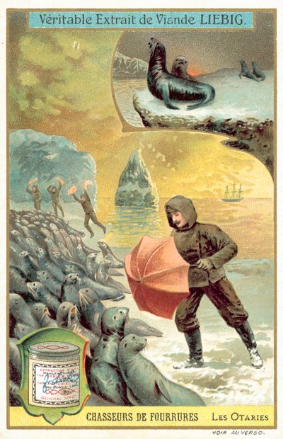 Oroszlánfókák vadászata (chromolitho) alkotó: European School