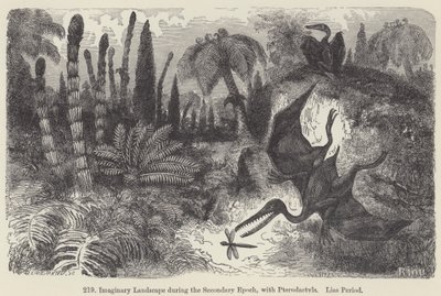 Képzeletbeli táj a másodlagos korszakban, pterodaktilokkal, Lias-korszak (metszet) alkotó: European School