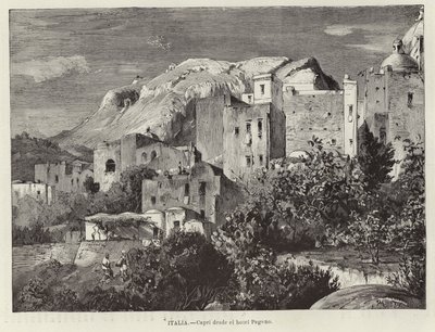 Olaszország - Capri a Pagano szállodától alkotó: European School