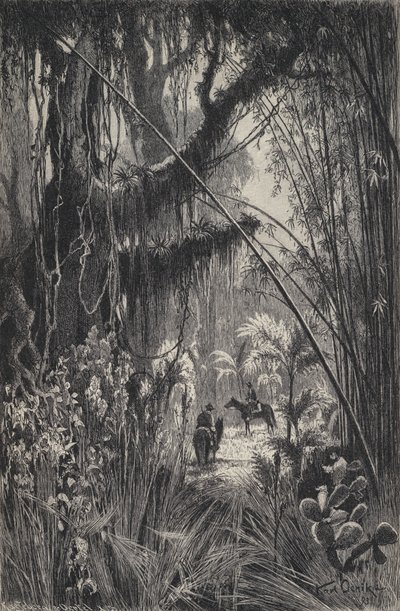 Dzsungel a Salta Cordillera-ban, Argentína északnyugati részén (litho) alkotó: European School