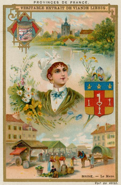Maine alkotó: European School