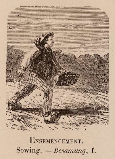 Szemléltető szókincs: Vetés; Vetés; Besamung (metszet) alkotó: European School