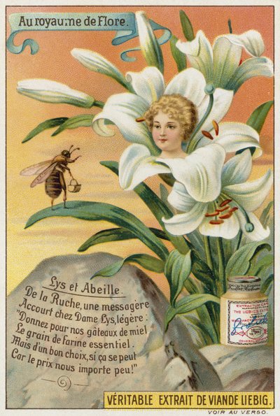Liliom és méhecske alkotó: European School