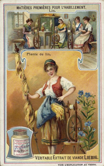 Len: len növény alkotó: European School