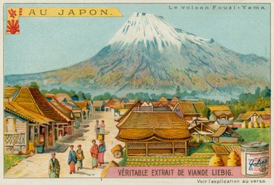 Fuji alkotó: European School
