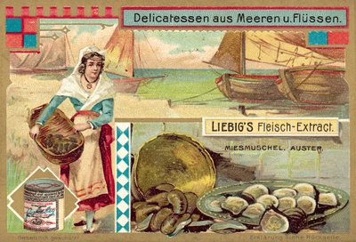 Kagyló és osztriga (chromolitho) alkotó: European School