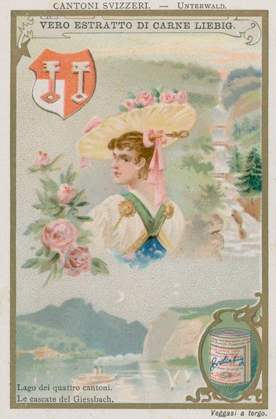 Nidwalden alkotó: European School