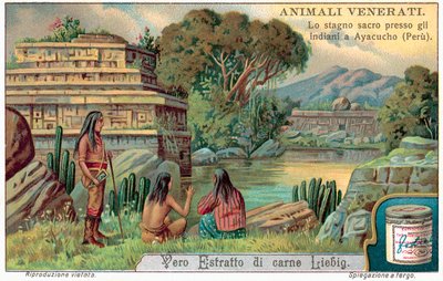 Szent halak medencéje Ayacuchoban, Peruban (chromolitho) alkotó: European School