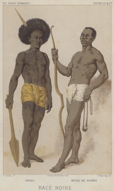 Fekete faj, pápua, fekete guineai (chromolitho) alkotó: European School