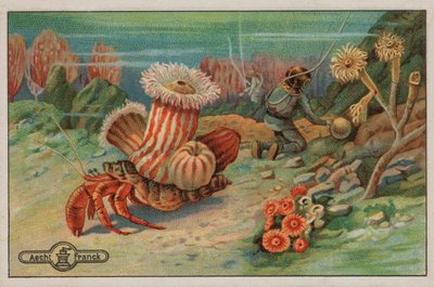 Jelenet a tengerfenéken (chromolitho) alkotó: European School