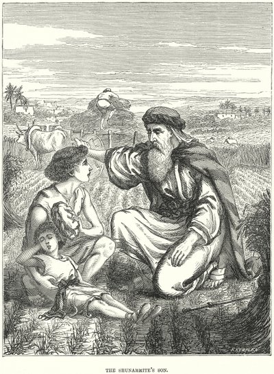 A súnamita fia (metszet) alkotó: European School