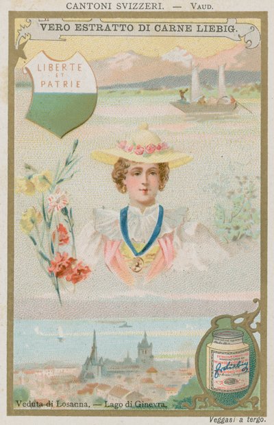 Vaud alkotó: European School