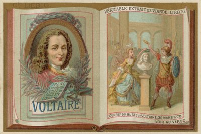 Voltaire alkotó: European School