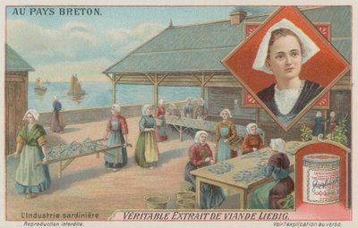 Szardínia készítő nők (chromolitho) alkotó: European School