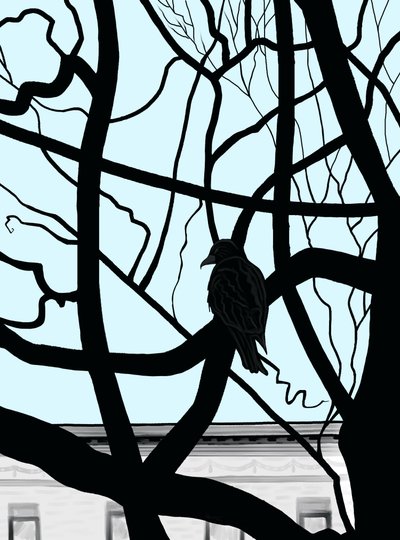 Hawk On Branch In City (digitális művészet) alkotó: Evan Sklar