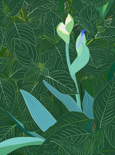  alkotó: Evan Sklar