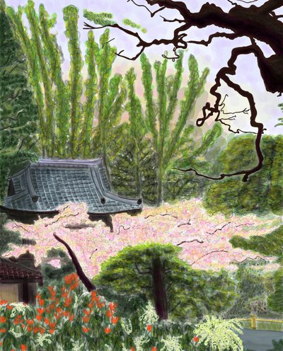 Japán kert alkotó: Evan Sklar