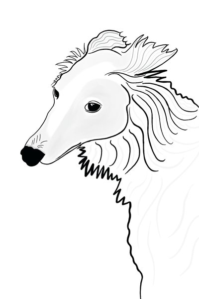 Vonalrajz a Silken Windhound (digitális művészet) alkotó: Evan Sklar