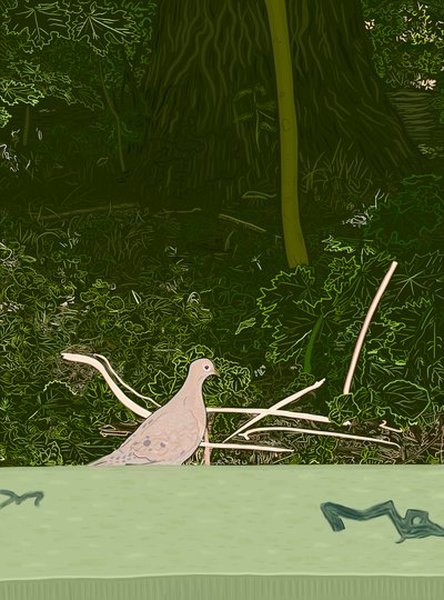 Gyászoló galamb a Prospect Park falán, 2020-24 körül (digitális művészet) alkotó: Evan Sklar