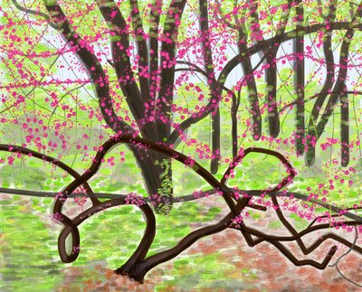 Prospect Park, tavasz, 2017 (kézzel rajzolva egy iPad-en egy Apple ceruzával) alkotó: Evan Sklar