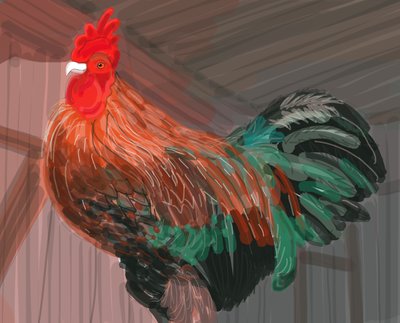 Kakas a pajtában, 2018 (kézzel rajzolva iPad-en Apple ceruzával) alkotó: Evan Sklar