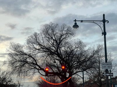 Mosolygó fa és közlekedési lámpák. Brooklyn (digitális művészet) alkotó: Evan Sklar