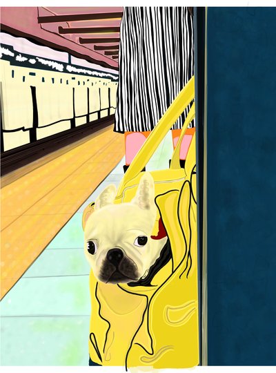 Subway Commuter with Dog In Bag, Brooklyn (digitális művészet) alkotó: Evan Sklar