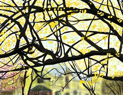 Sárga virágzó fa, Brooklyn (digitális művészet) alkotó: Evan Sklar