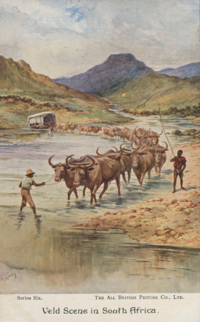 Szarvasmarhát hajtó gazdák, Dél-Afrika (színes litho) alkotó: Evelyn Stuart Hardy
